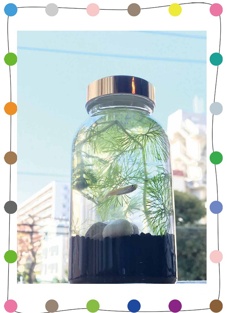 リビングを彩るボトルアクアリウム びんの中の小さな地球 イベント情報 セミナー イベント キャンペーン情報 ハウスクエア横浜