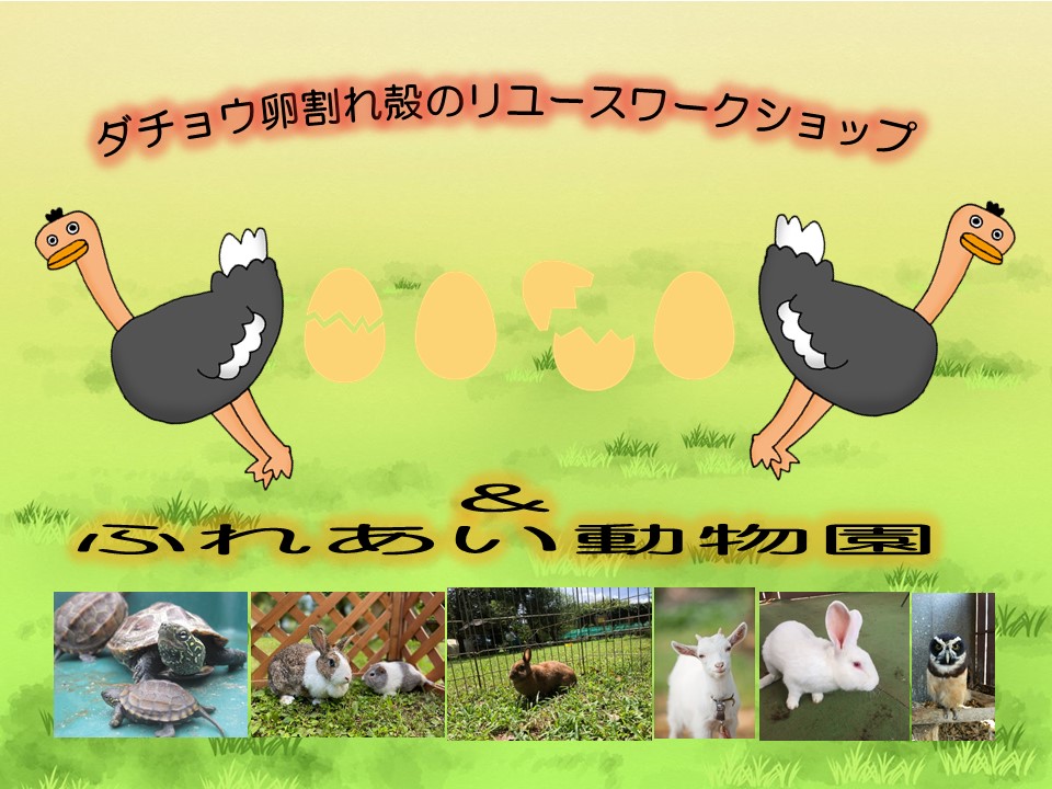 ダチョウの卵割れ殻リユースワークショップ＆ふれあい動物園