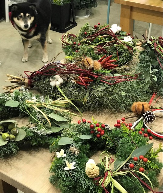 愛犬と楽しむクリスマスリース作り