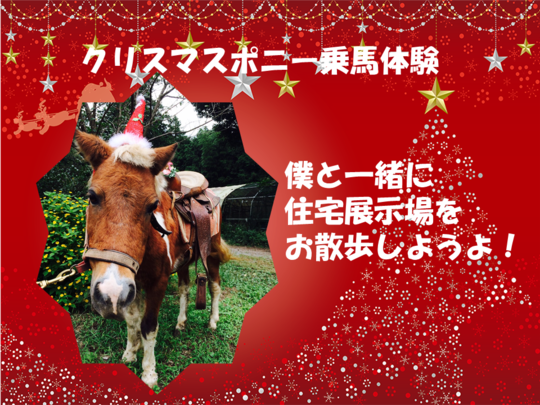 クリスマスポニーの乗馬体験